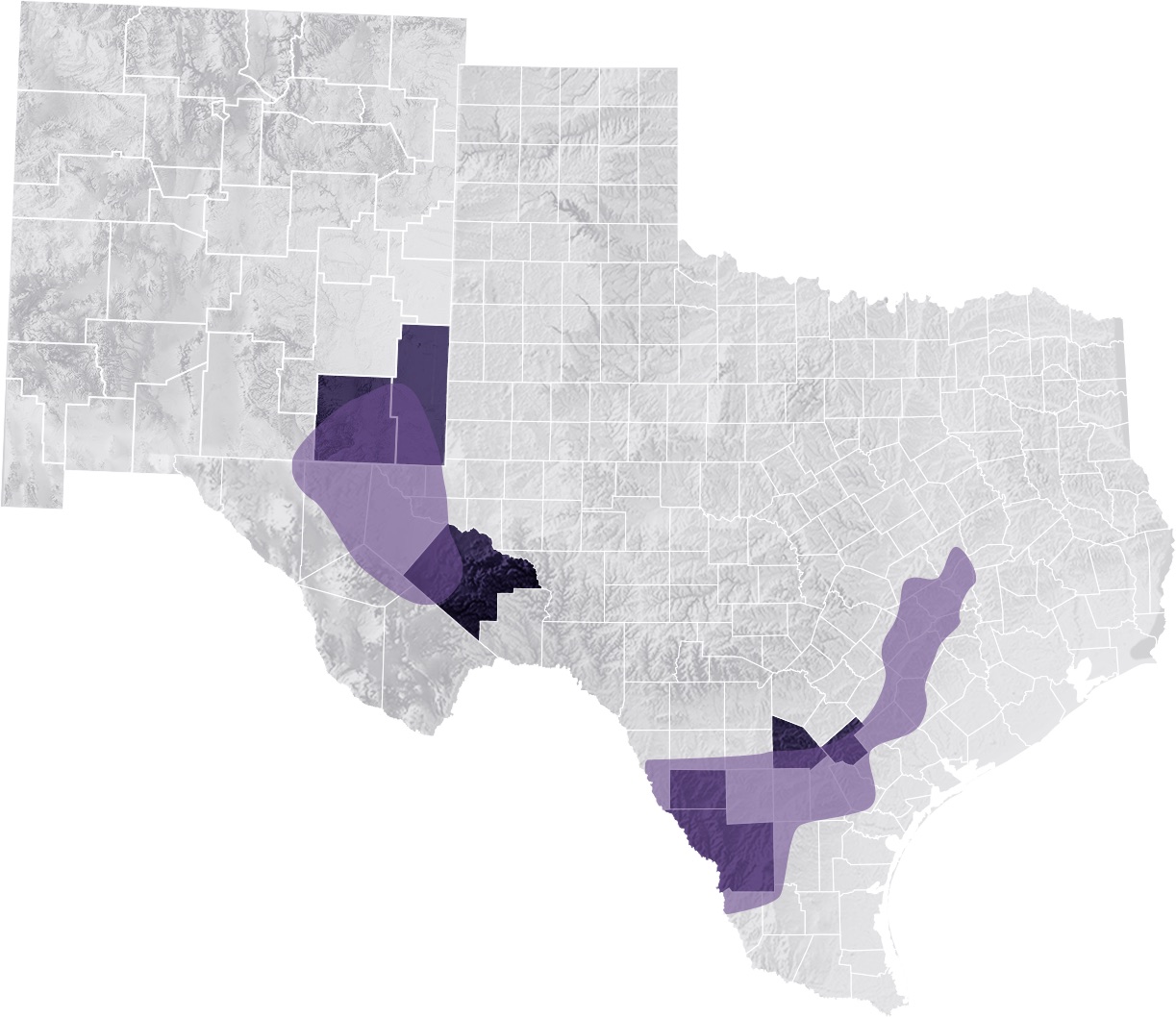 Elevation map of Texas and New Mexico showing Black Mountain Oil & Gas positions in the Permian Basin and the Eagle Ford Shale